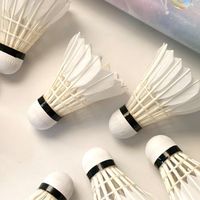 学生党狂喜！薰风星云口粮球，百元平替耐打还稳飞🏓