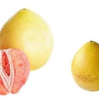 秋日红心柚：闽南山水的馈赠