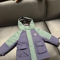 保姆鹅羽绒服是“高性价比之王”还是“腥臭翻车货”？500+用户真实口碑大PK