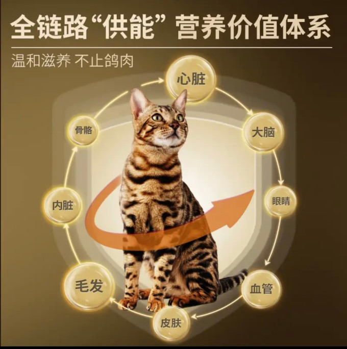 喜喵猫咪干粮