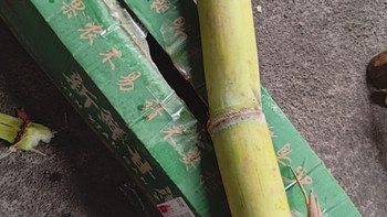 双十一水果囤货王！云南黄金甘蔗，松软清甜的冬日限定