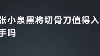 张小泉黑将切骨刀值得入手吗？653+用户真实口碑大PK