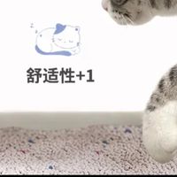 铲屎官狂喜！沃趣膨润土猫砂20斤装，除臭低尘结团稳到离谱