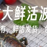 生鲜封神！渔传播波士顿龙虾，在家吃出星级海鲜盛宴