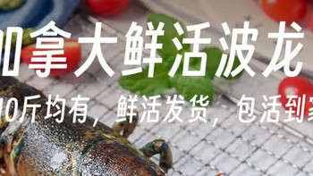 生鲜封神！渔传播波士顿龙虾，在家吃出星级海鲜盛宴
