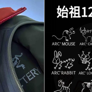 抛弃八千的鸟，花一百块买“马”，年轻人为何买账？