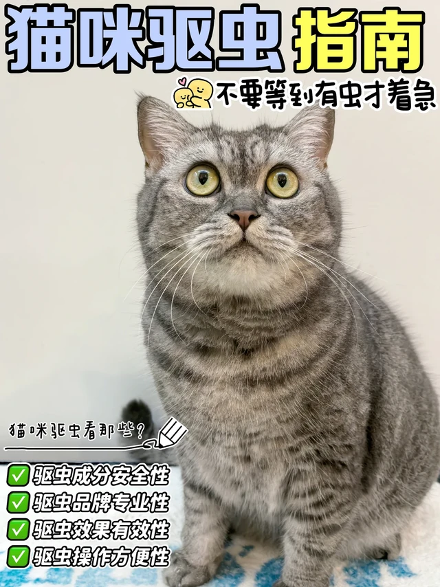 选泰淘气滴呗，驱虫我才放心
