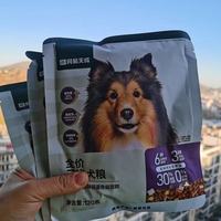 网易天成三拼犬粮：当挑食汪狂炫碗底，我终于懂了“好粮”的真相