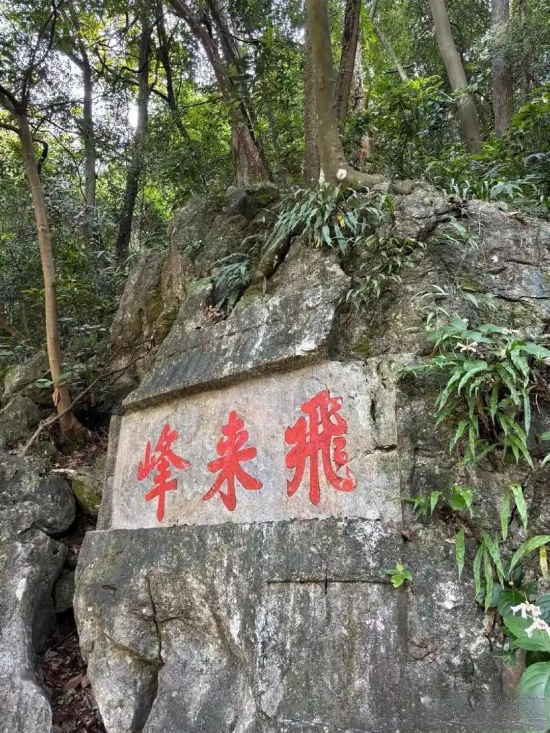 杭州灵隐寺免费开放政策及预约攻略详解
