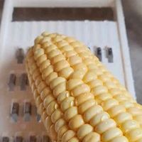 双11厨房神器：拜格切菜器
