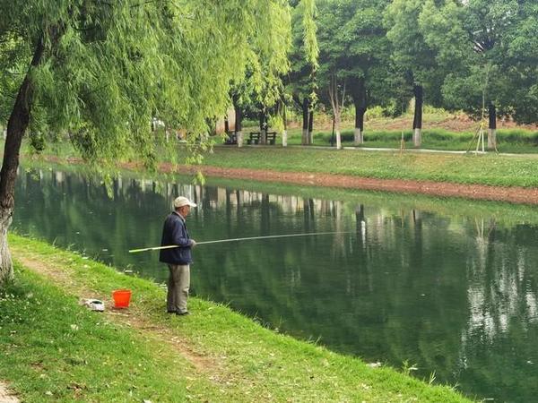 钓鱼大师分享4款钓鱼配方，有手就行的配方，先收藏起来备用