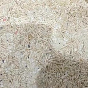 铲屎官福音！Lorde里兜木薯豆腐混合猫砂实测：除臭吸水双在线