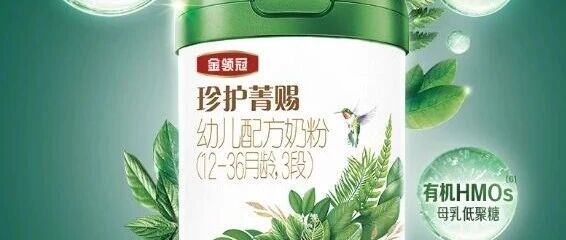 搞定两岁宝宝喝什么奶粉好:从防护到脑发育,选对才有效