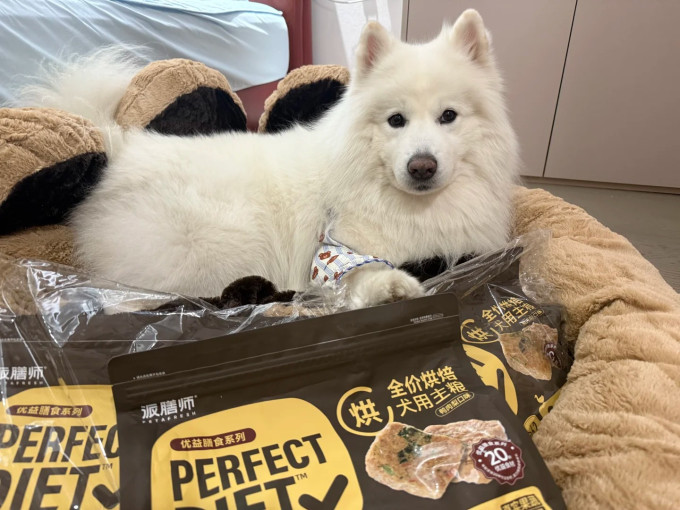派膳师狗粮