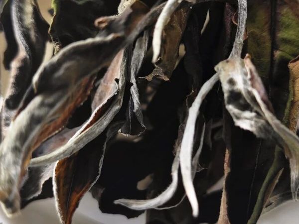 太全了，赶紧收到起来！从茶类、口感、特点来介绍云南白茶