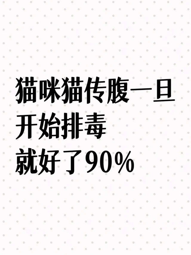 猫咪猫传腹的原因