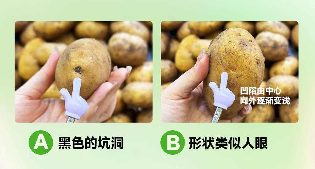 为啥你家土豆总发芽?6个买菜小技巧,内行人才知道!