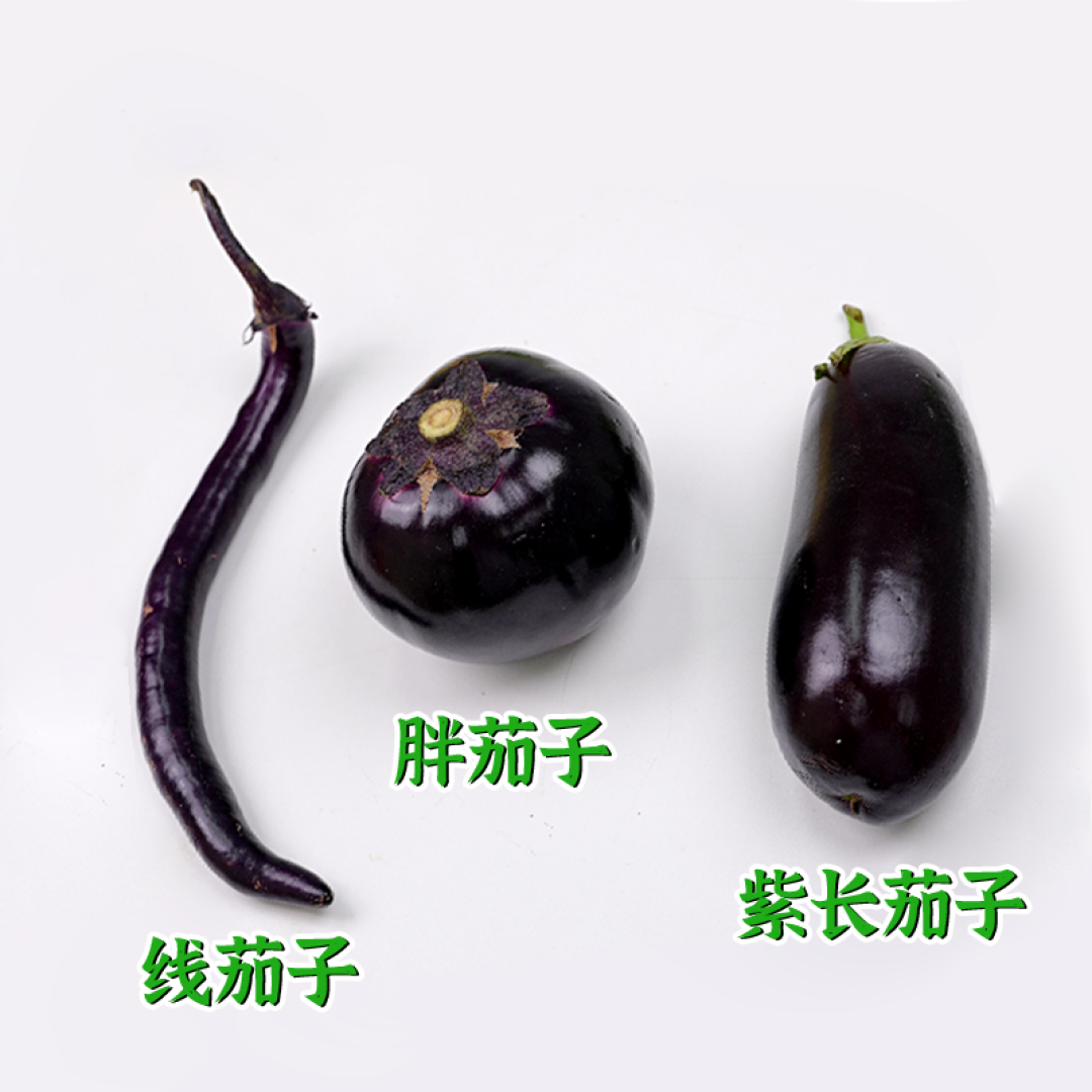 为啥你家土豆总发芽?6个买菜小技巧,内行人才知道!
