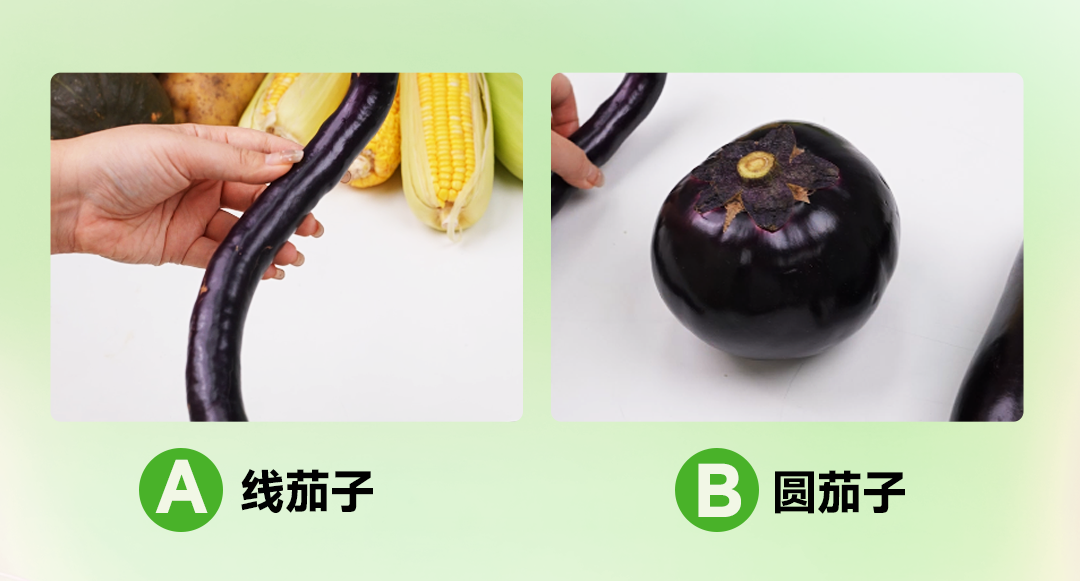 为啥你家土豆总发芽?6个买菜小技巧,内行人才知道!