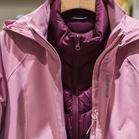 冬季运动本命款！法国Lafuma乐飞叶三合一羽绒服