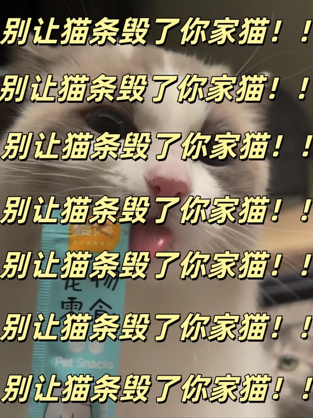 ⚠猫条在悄悄摧毁你的猫，现在停下还来得及！