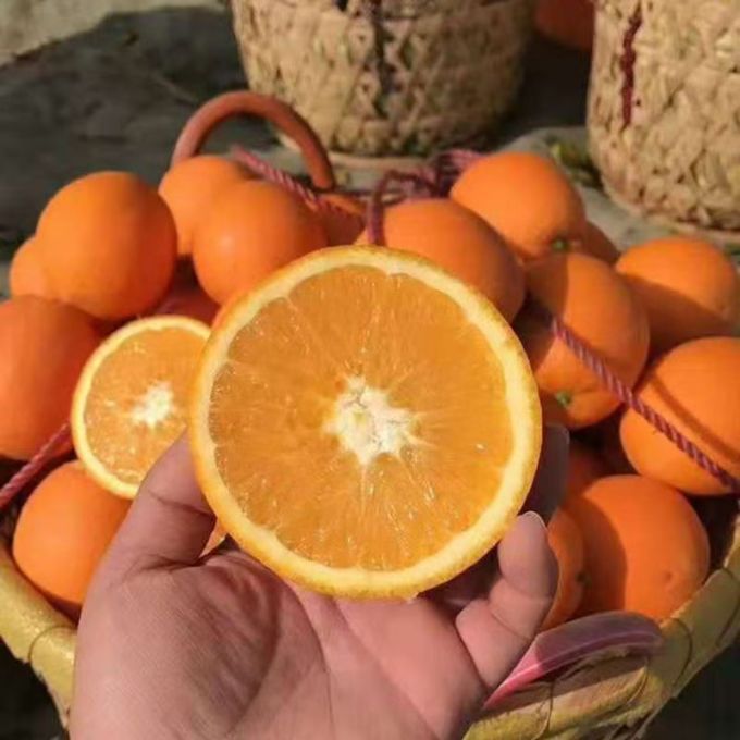 新鲜水果