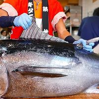 高市搞事就是日本有事｜刚恢复不到半月，中国再次暂停进口日本水产