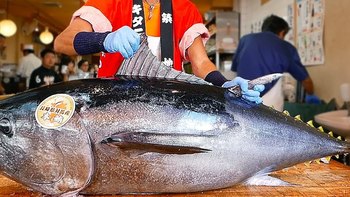 高市搞事就是日本有事｜刚恢复不到半月，中国再次暂停进口日本水产 