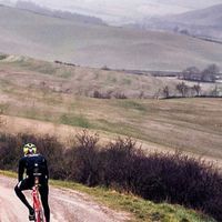 崔克无新品发布，聚焦门店服务与用户互动｜崔克品牌一周观察