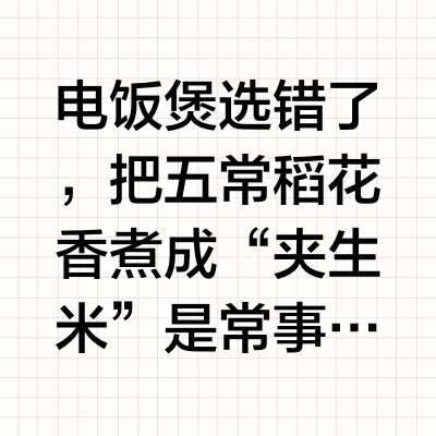 2025电饭煲有什么品牌推荐?