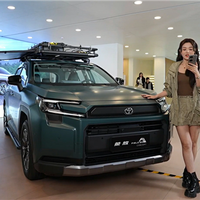 中国市场专属座舱 全新一汽丰田RAV4荣放上市：16.98万起