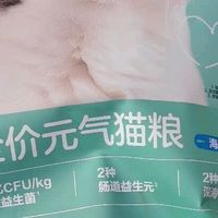 猫咪挑食终结者！网易严选宠爱相伴猫粮太省心