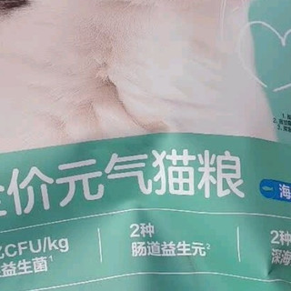 猫咪挑食终结者！网易严选宠爱相伴猫粮太省心
