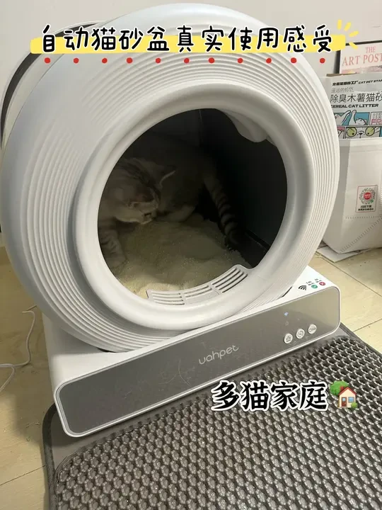 自动猫砂盆真实使用感受
