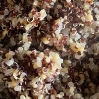 选大米，别看执行标准：上限与下限，差距非常大