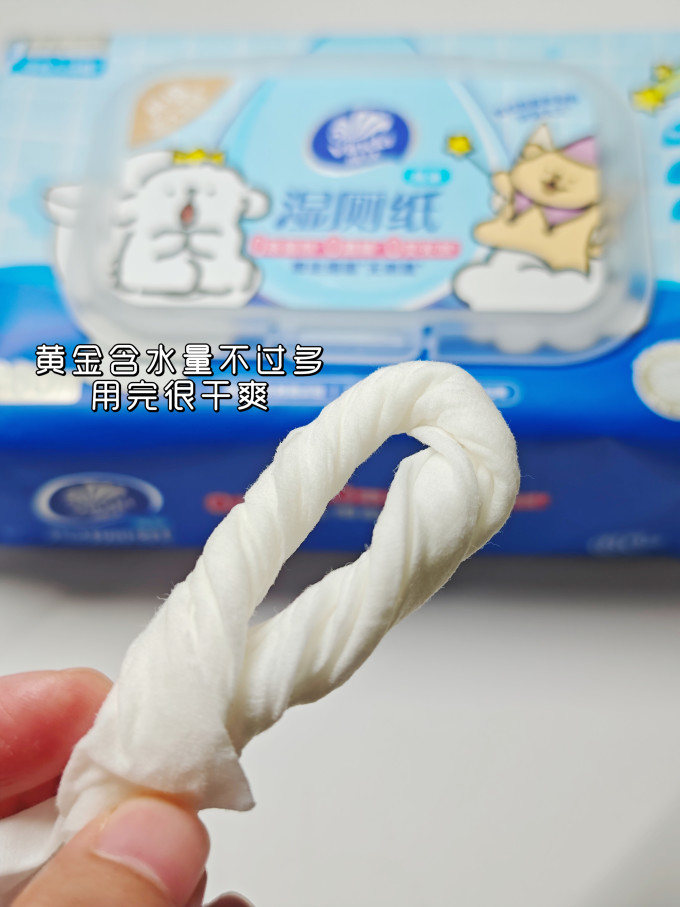 维达湿厕纸