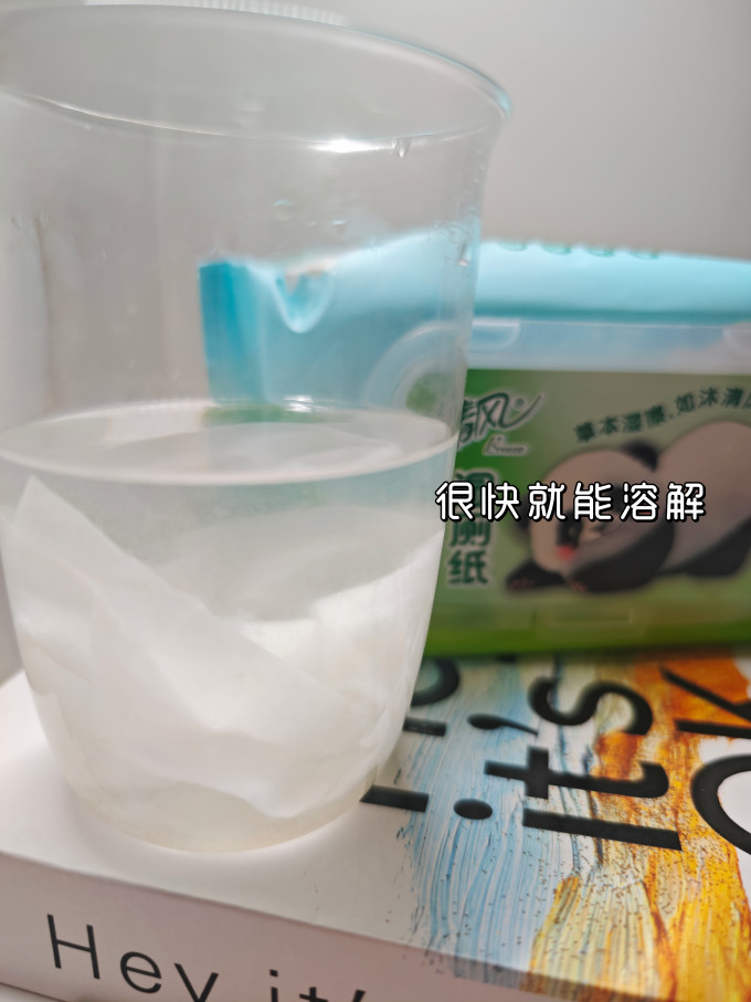 维达湿厕纸