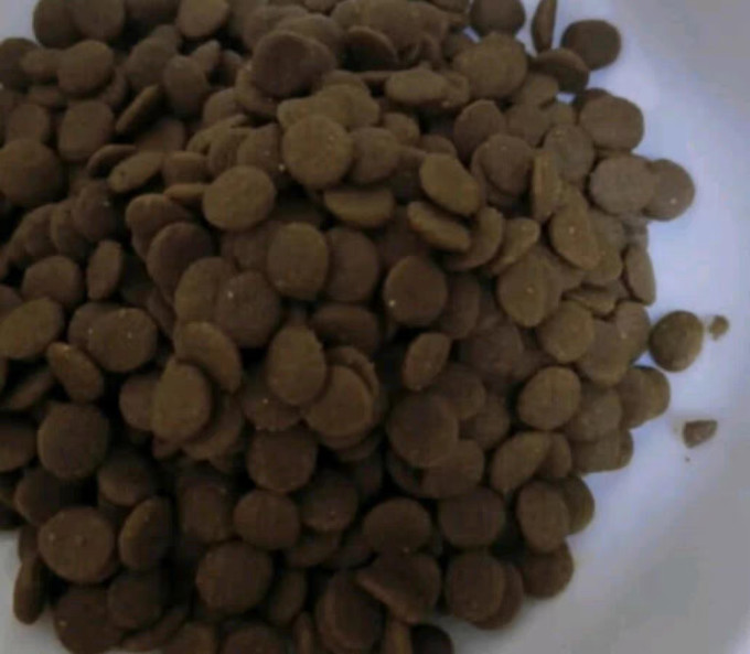 网易严选猫粮