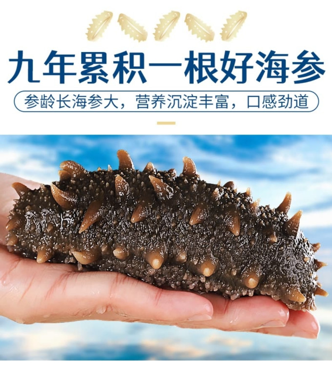 三只海豚参鲍