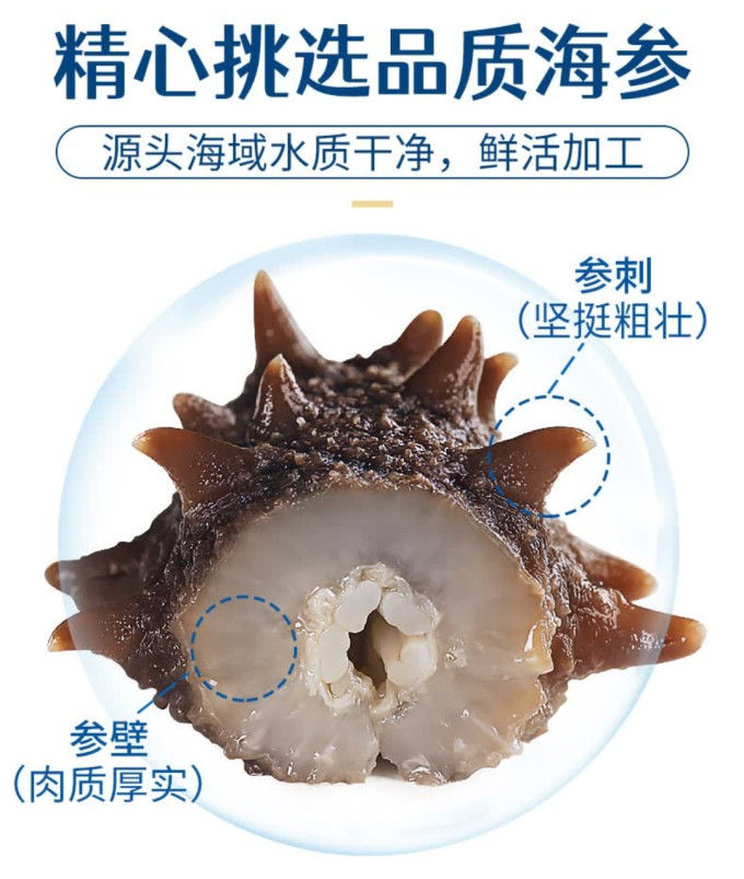 三只海豚参鲍