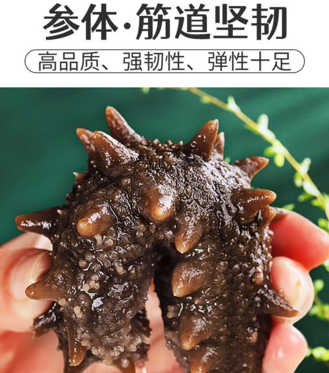 三只海豚参鲍