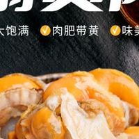 美加佳带黄扇贝肉购：鲜掉眉毛的海鲜刚需！