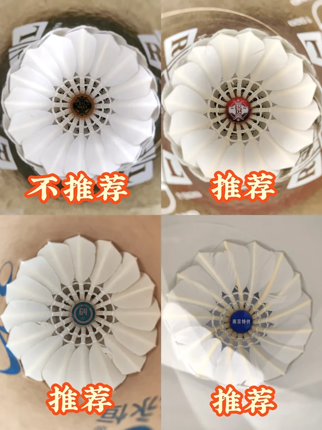 羽球分享之口粮球👀。第一个是亚狮龙一号,有人说亚狮龙家打单不打双号,打感还是很不错的,就是有点脆,冬天不建议选择这个球。
第二个是亚狮龙D5,鹅毛球,感觉品质对比之前毛片变薄了,不过飞行和打感都算不错