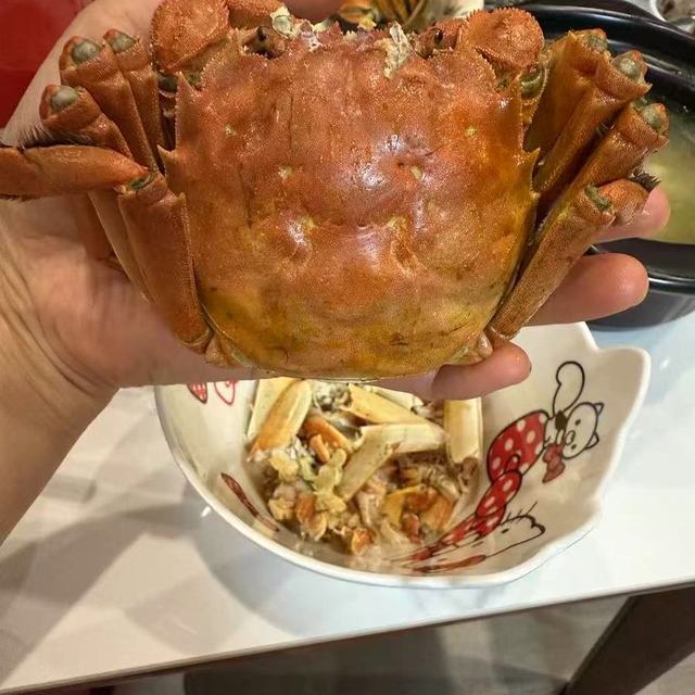 蟹如愿全母阳澄湖大闸蟹实测！送礼自留都封神😭