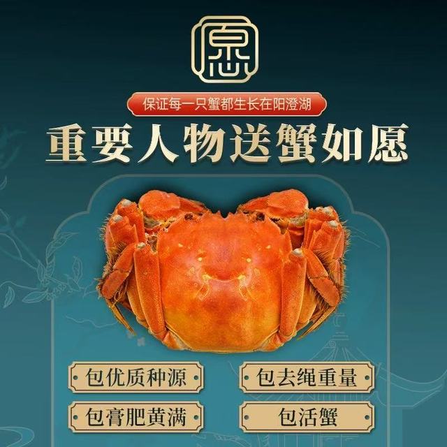蟹如愿阳澄湖大闸蟹：鲜活珍馐，礼盒传情