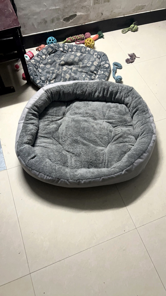 宠维森猫狗窝