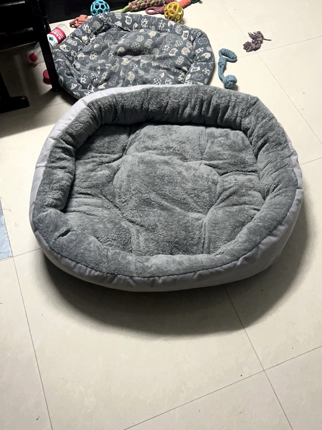 养宠党狂喜！宠维森狗窝暖哭毛孩子🐾