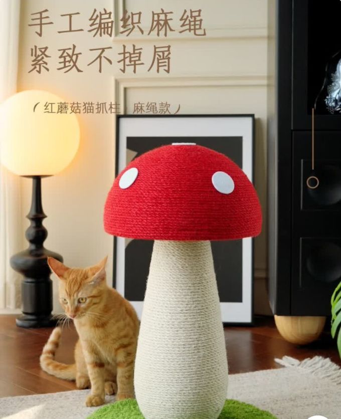 梵都宠舍猫抓板