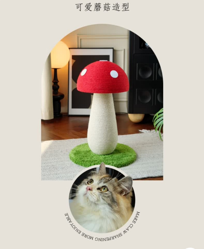 梵都宠舍猫抓板