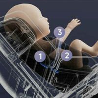 虎贝尔E360pro安全座椅：i-Size认证，守护宝宝出行安全